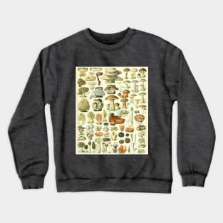 Mushroom Chart Crewneck Sweatshirt